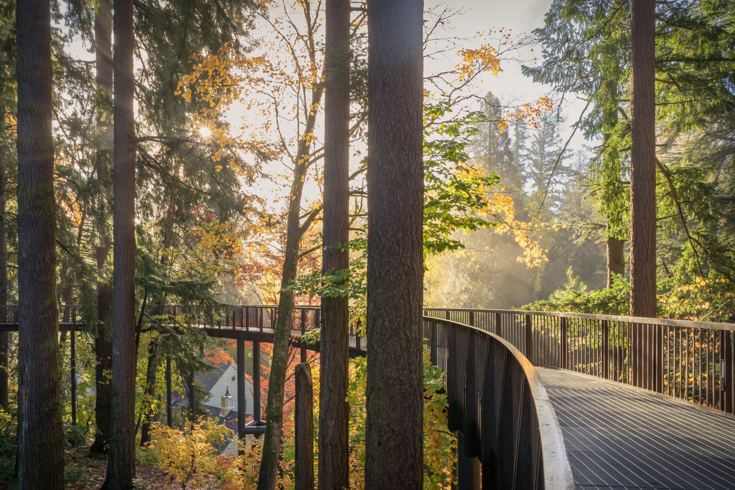LBG Tree Walk T_Tiemeyer