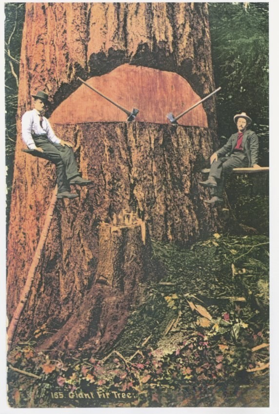 1920 – Men Sitting on Spring Boards – Logging – Edited